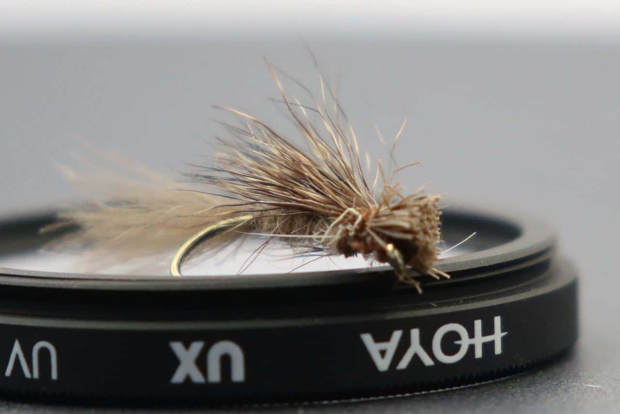 Wet Fly vs Dry Fly Key Differences & How to Decide Which?