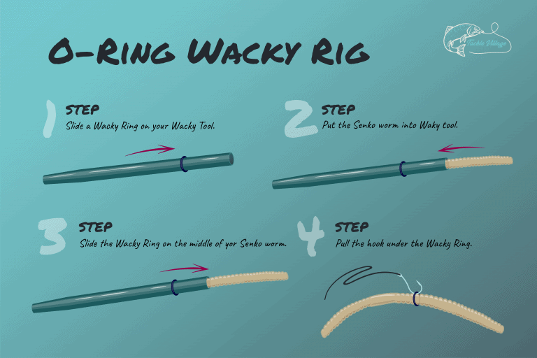 The Wacky Rig for Bass Worms Full Setup Guide
