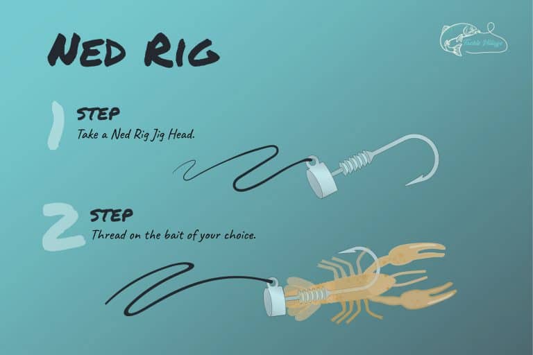 The Best Perch Rigs 7 Great SetUps to Boost Your Catch