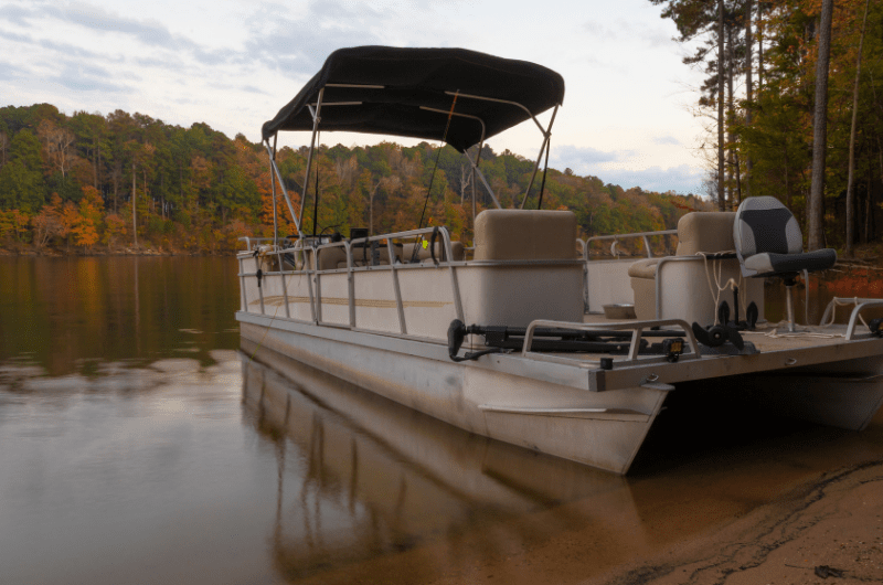 Best Trolling Motor for Pontoon Boat A Buyer's Guide (2024)