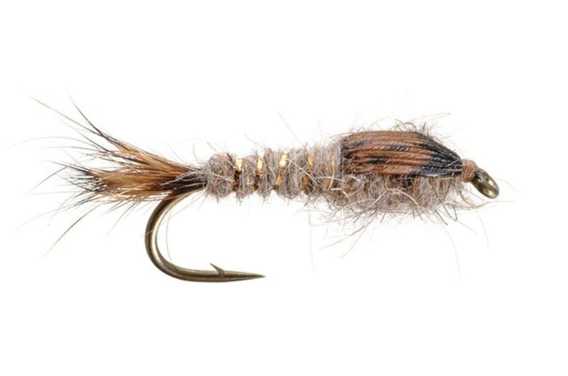 Best Flies for Brown Trout 21 Top Wet and Dry Patterns