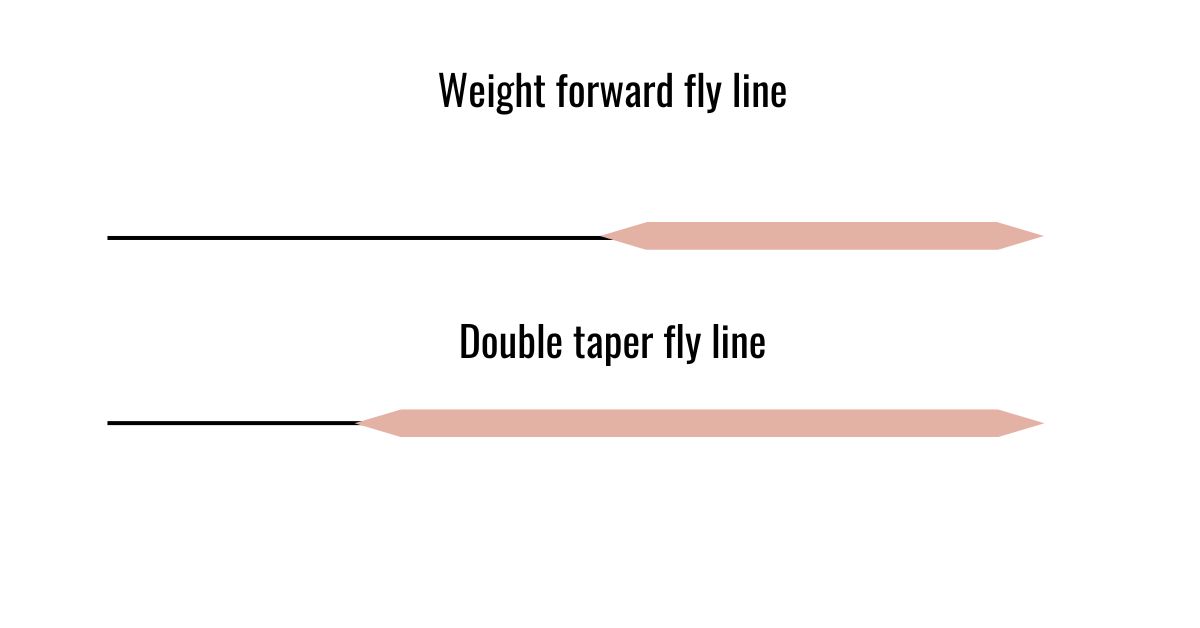 Understanding Fly Line Tapers A Complete Expert Guide