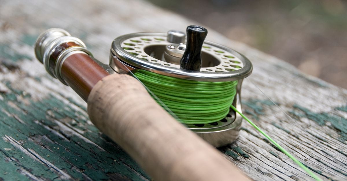 Understanding Fly Line Tapers A Complete Expert Guide