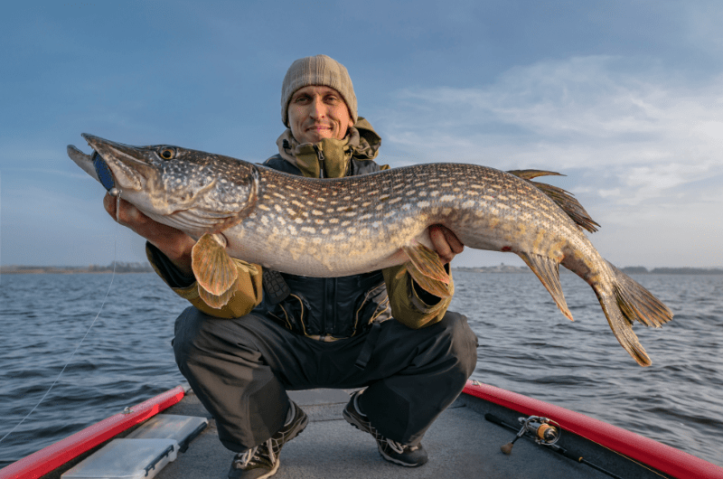 How to Hold a Fish Properly Tips for Handling, Photographing & Releasing