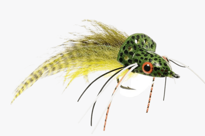 The 24 Best Flies for Largemouth Bass Poppers, Bugs & Streamers