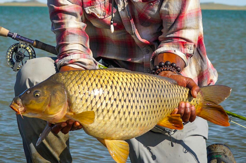 Fly Fishing For Carp Tackling ‘Urban Bonefish’ With the Long Wand