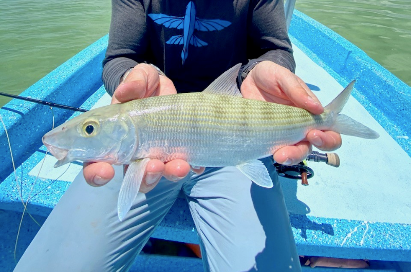 What Is a Flats Grand Slam? Tropical Fly Fishing’s Holy Grail