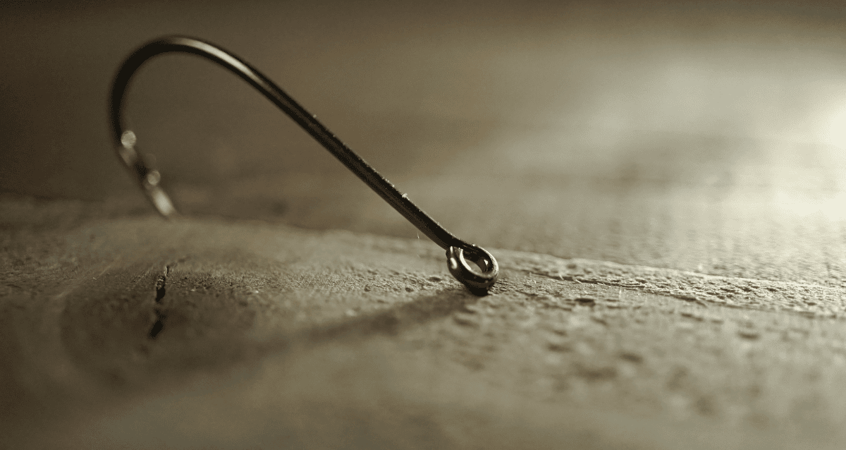 Best Bass Hooks Our Favorite Brands for All Types (2024)