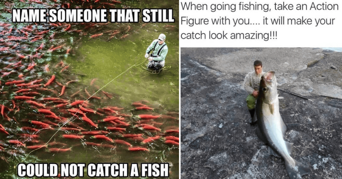 Funny Fish Meme