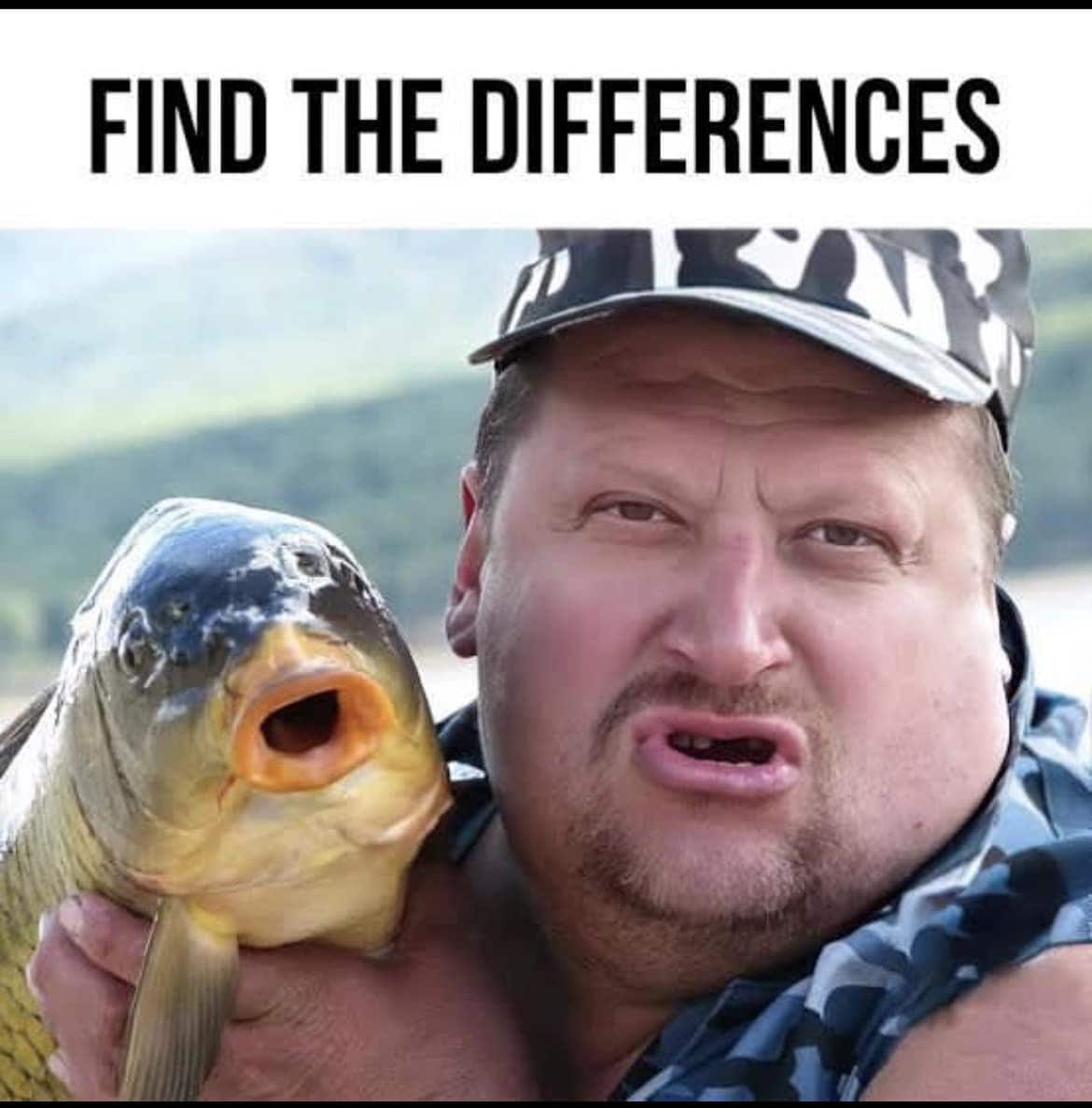 The Best 50 Fishing Memes Funniest, Sauciest and More