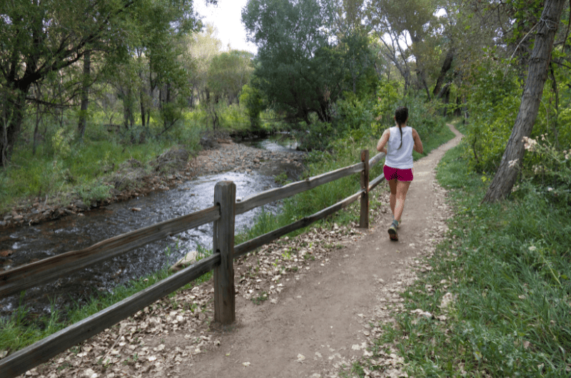 The 15 Best Fly Fishing Rivers in Colorado Expert Guide