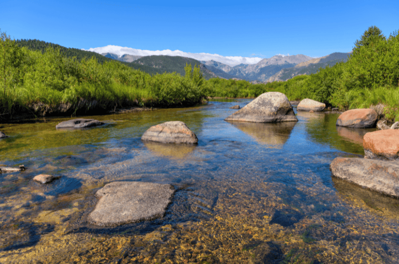 The 15 Best Fly Fishing Rivers in Colorado Expert Guide