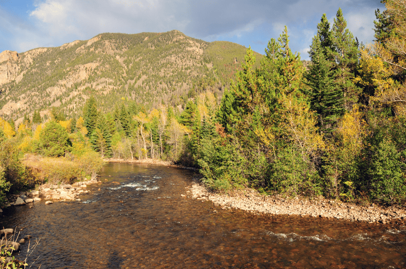 The 15 Best Fly Fishing Rivers in Colorado Expert Guide