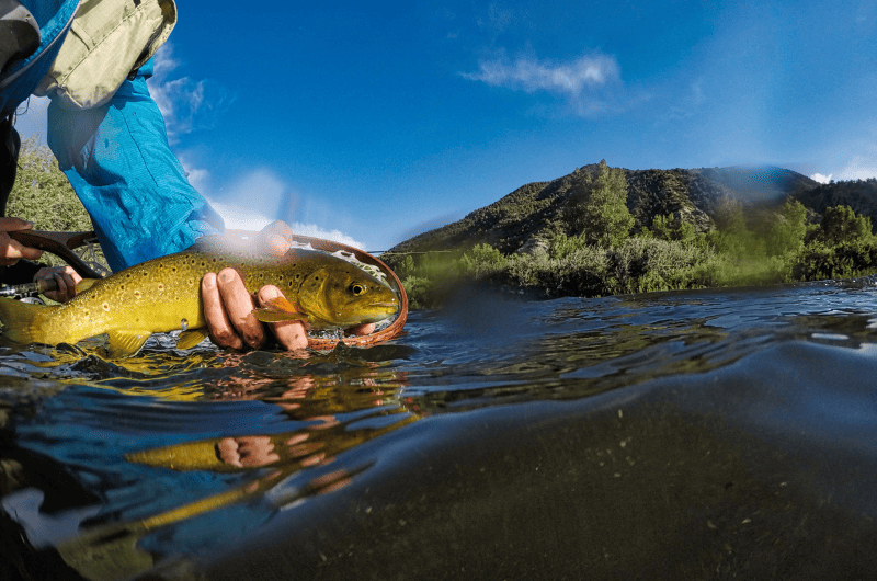 The 15 Best Fly Fishing Rivers in Colorado Expert Guide