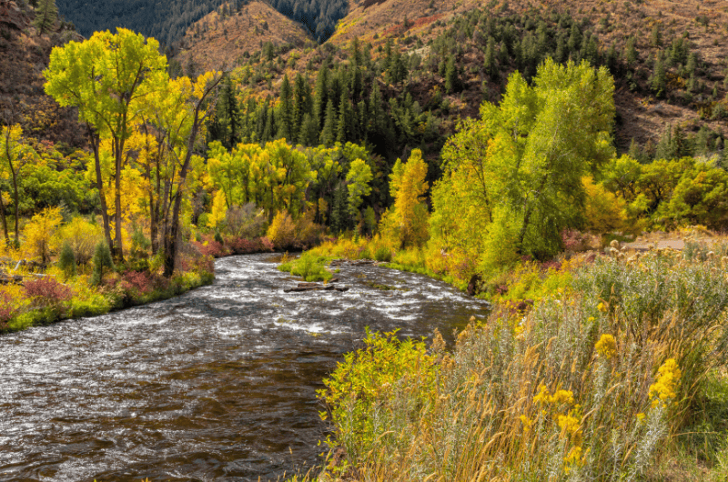 The 15 Best Fly Fishing Rivers in Colorado Expert Guide