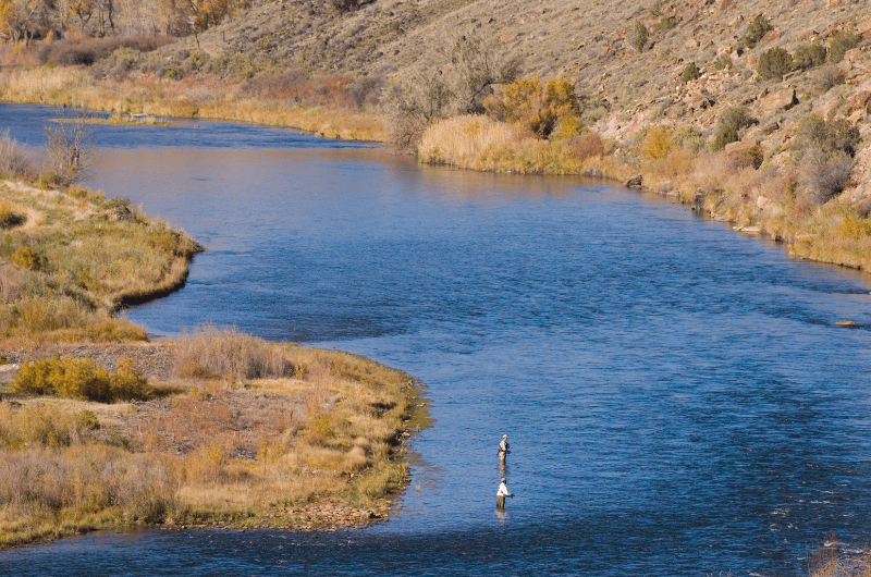 The 15 Best Fly Fishing Rivers in Colorado Expert Guide