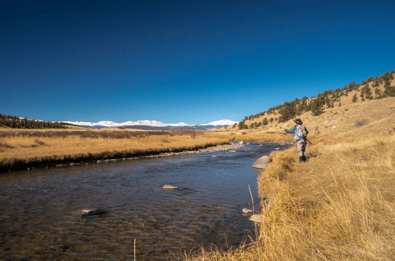 The 15 Best Fly Fishing Rivers in Colorado Expert Guide