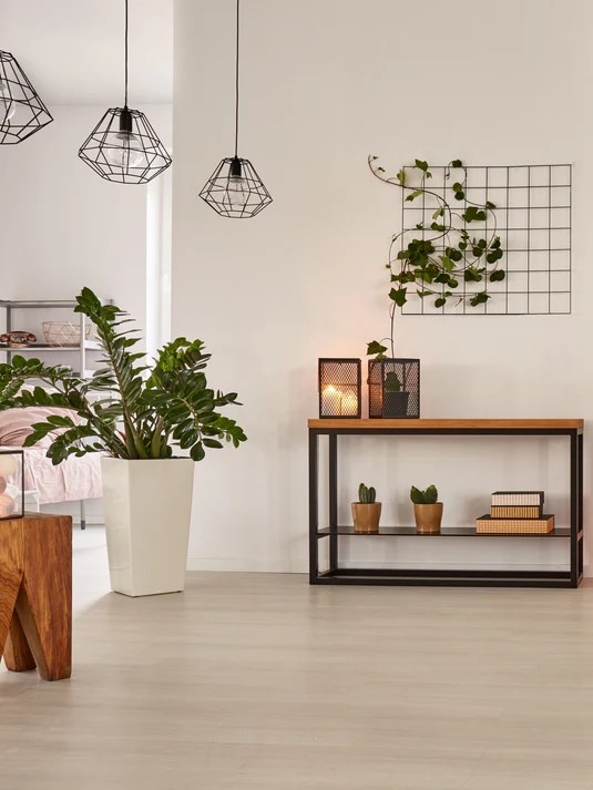 Consignment Furniture without the wait.