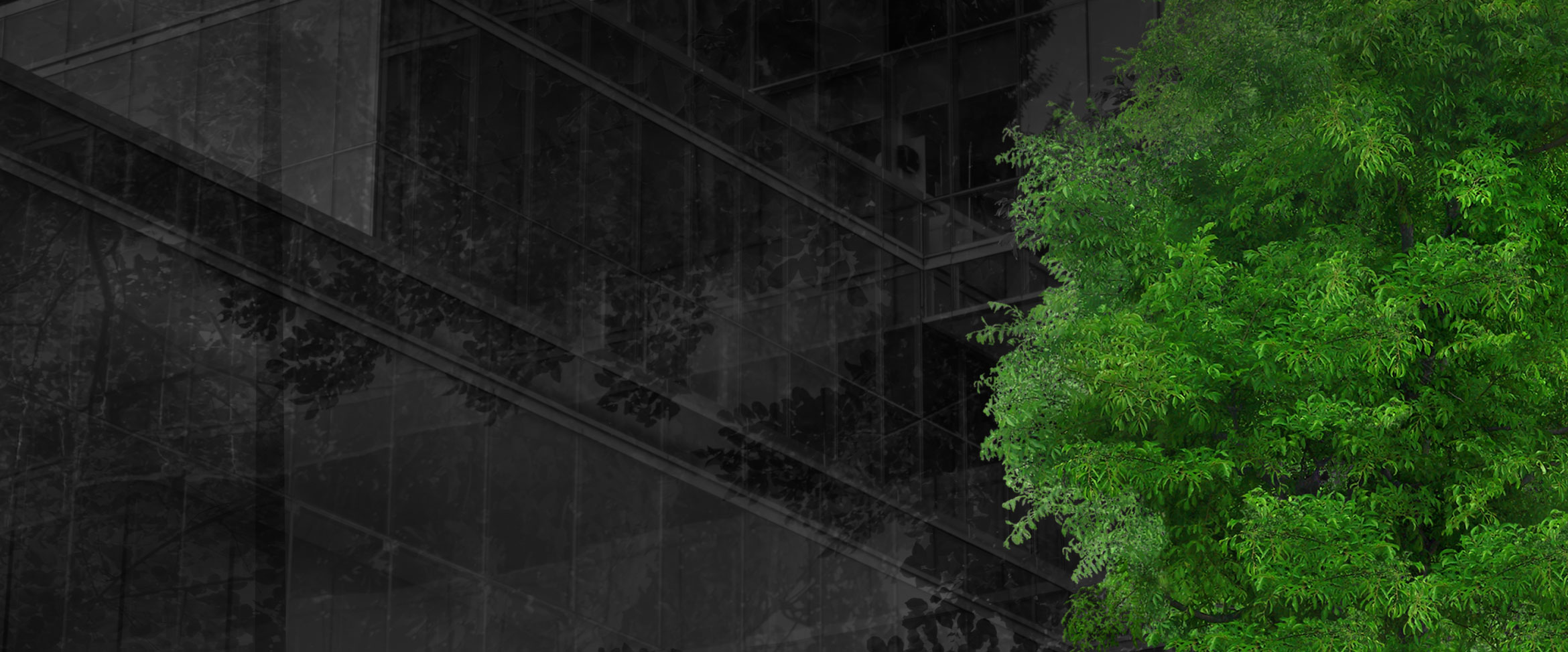 Investment Approach Taconic Capital