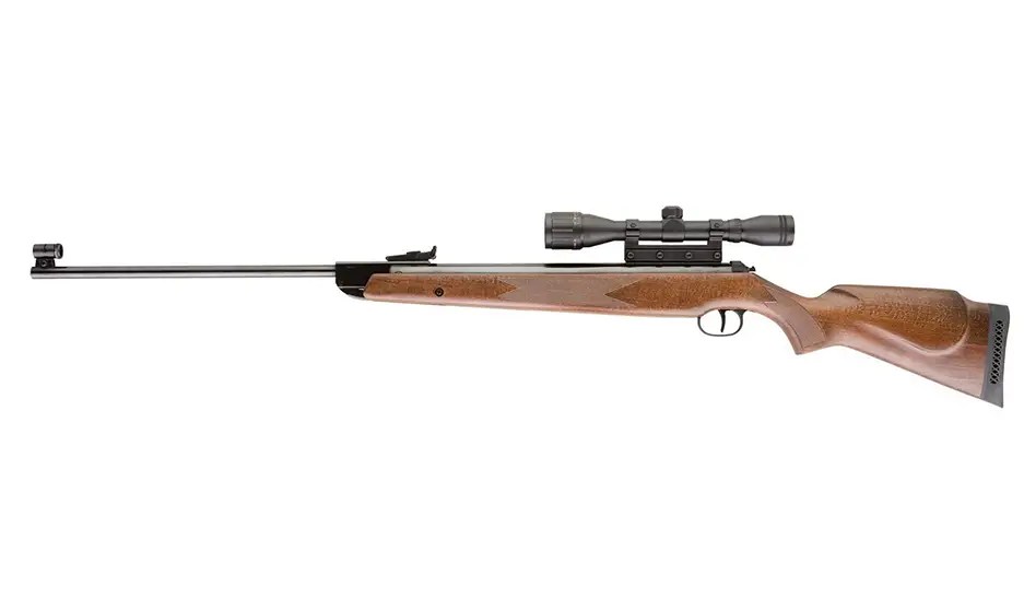 Top 10+ Best Pellet Guns For Killing Squirrels » [ Best Air Rifle