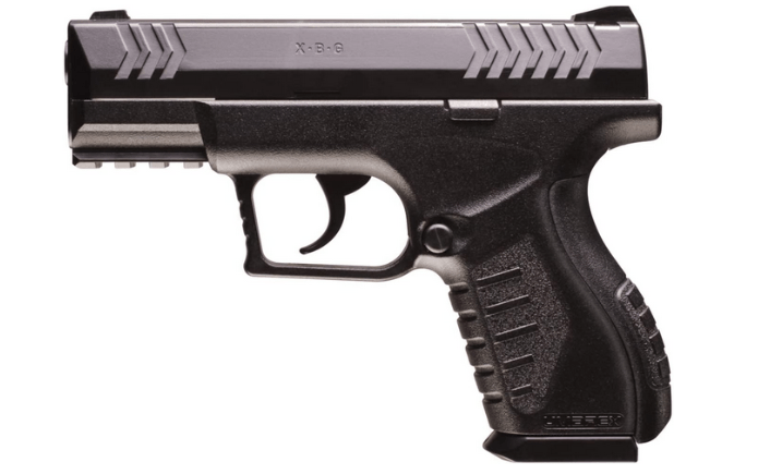 Top 10+ Best Pellet Guns For Killing Squirrels » [ Best Air Rifle Squirrels]