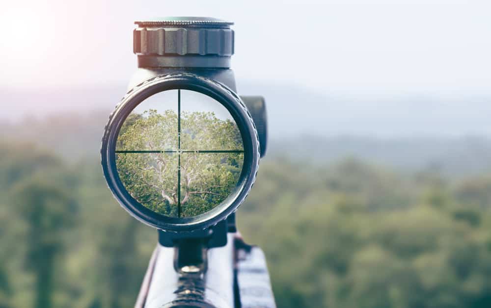 Nightforce SHV vs. Vortex PST in 2022 Click to Learn The Differences!