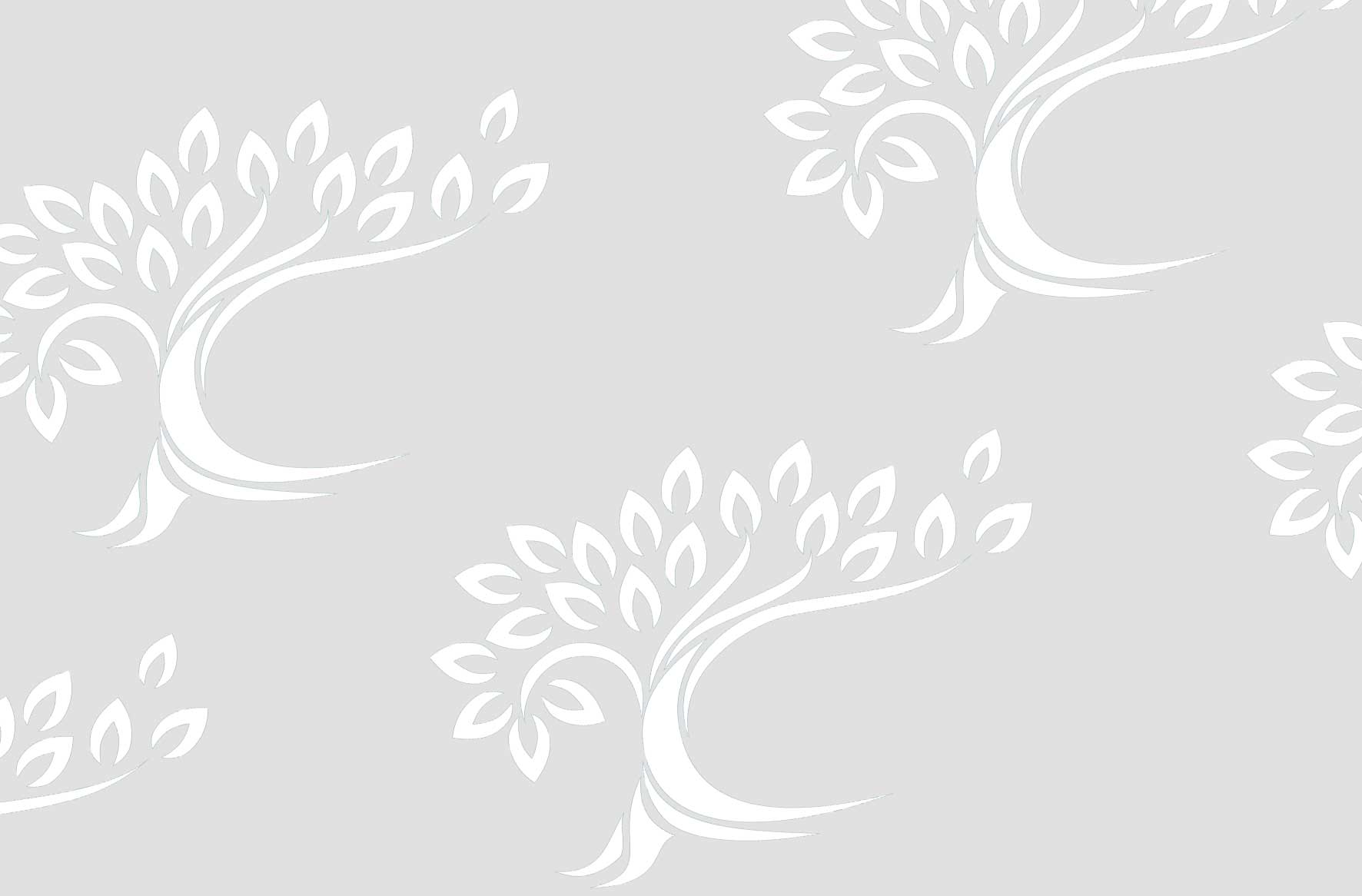 Tadcaster Primary Academy » Contact us