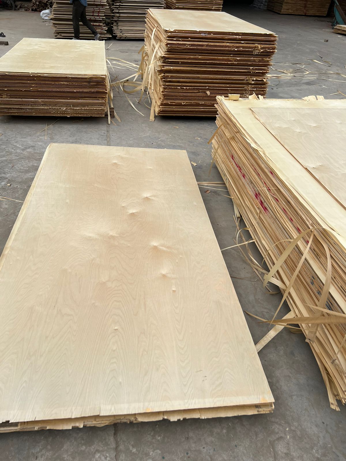 Carb P2 Birch Interior Plywood Tadex Ply