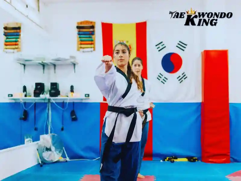 A Beginner's Guide to Taekwondo Taekwondo King