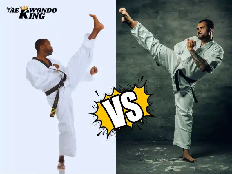 Which is Better TKD or Karate? Taekwondo King