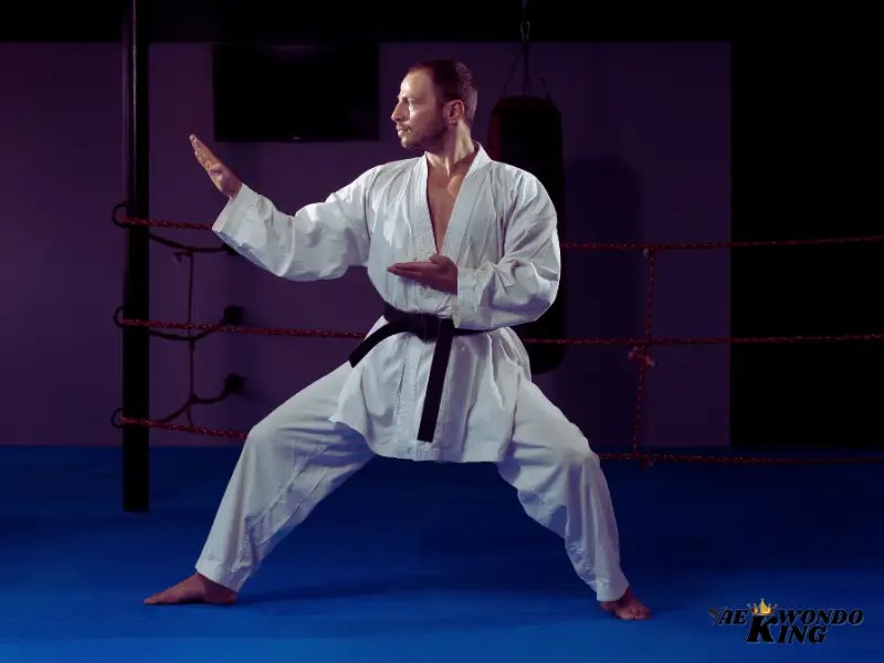 Can You Use Karate in a Real Fight? Taekwondo King