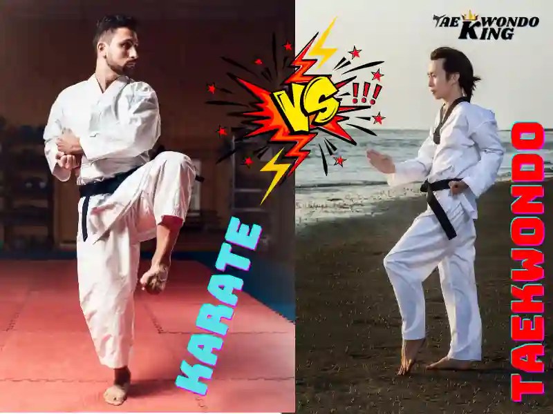 Taekwondo vs Karate Taekwondo King