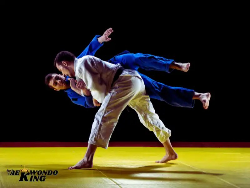 Judo or Taekwondo? Which Martial Art Is Better? Taekwondo King