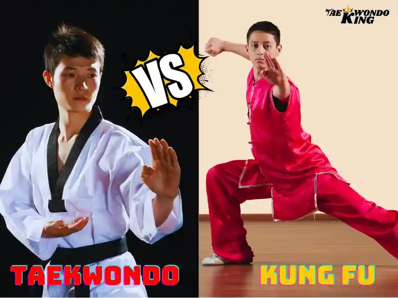 Which is Better TKD or Kung Fu? Taekwondo King