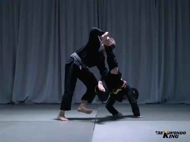 Which is Better TKD or Jiujitsu? Taekwondo King