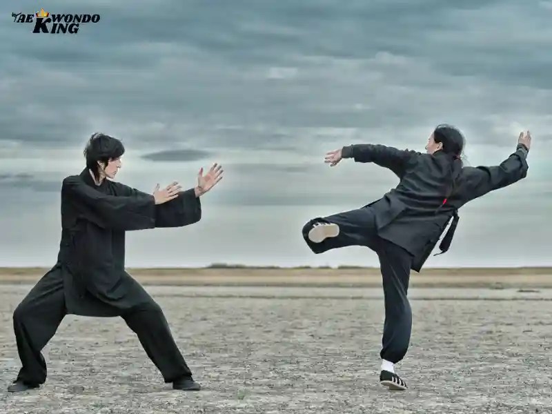 How is Kung Fu Useful in a Real Fight? Taekwondo King
