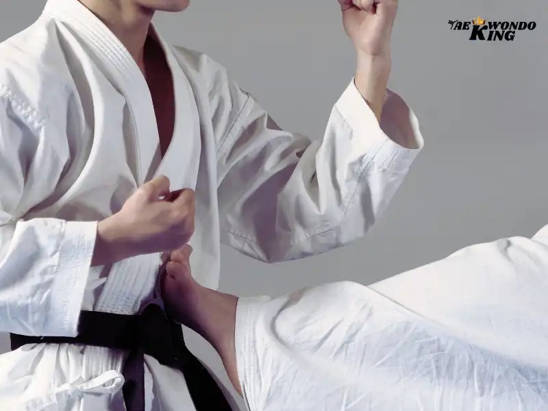 Is Karate Useful in Real Fights? Taekwondo King