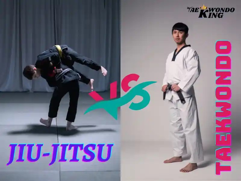 Which is Better TKD or Jiujitsu? Taekwondo King