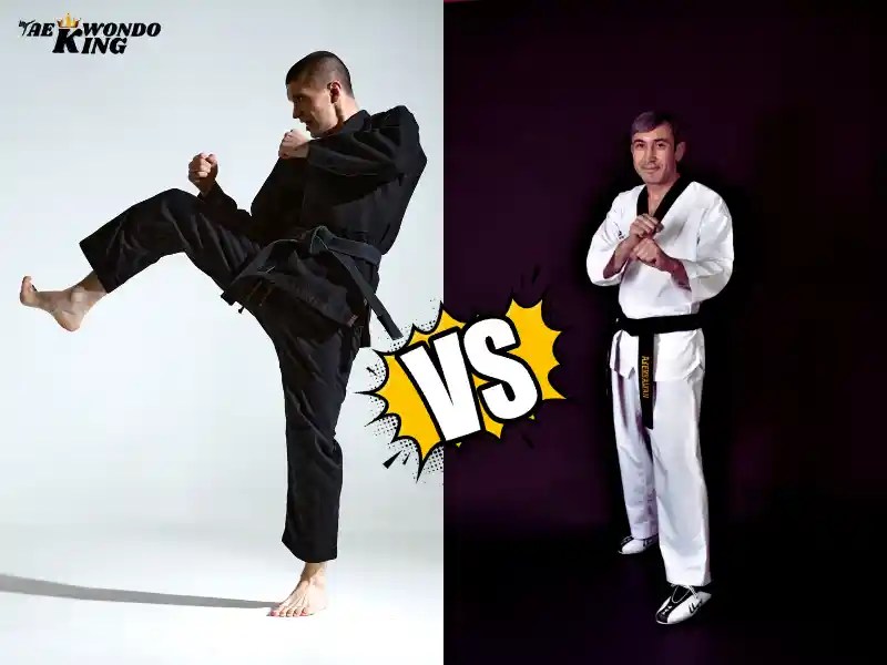 Which is Better TKD or Jiujitsu? Taekwondo King