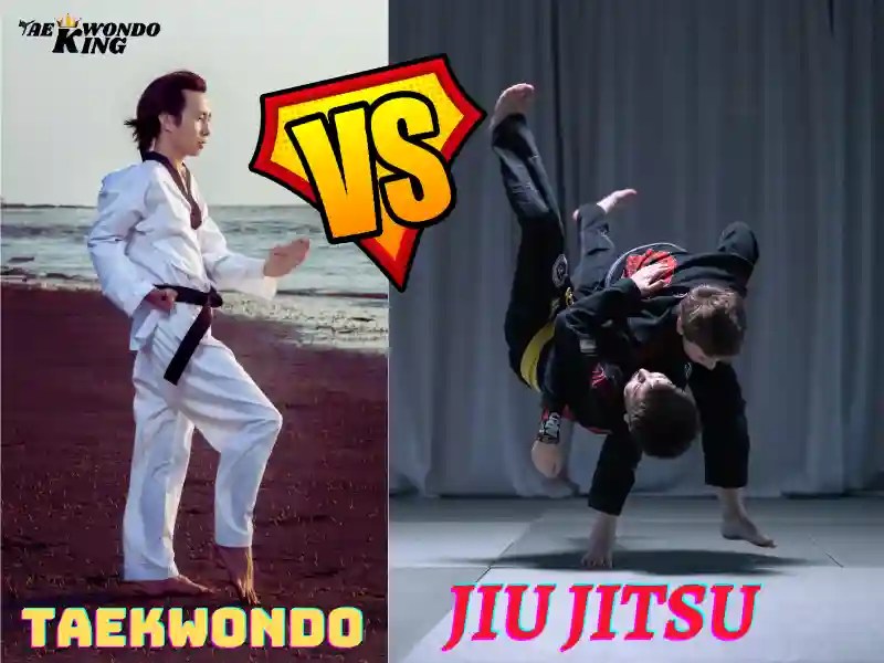 Which is Better TKD or Jiujitsu? Taekwondo King