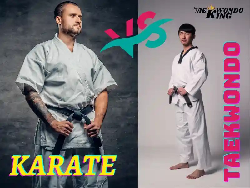 What is the Difference Between Karate and Taekwondo? Taekwondo King
