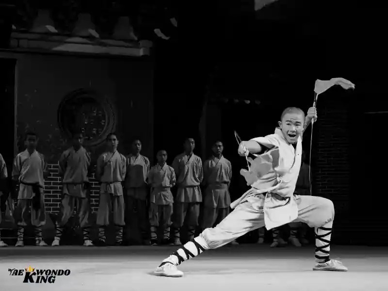 How is Kung Fu Useful in a Real Fight? Taekwondo King