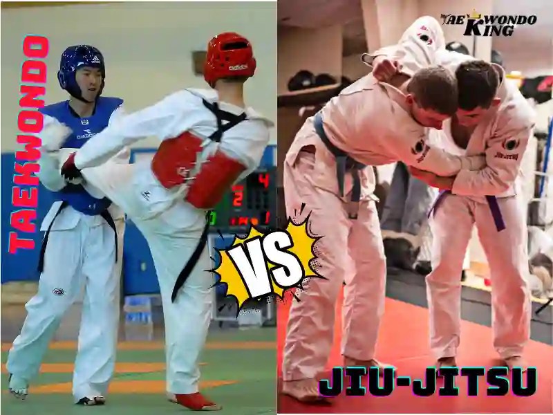 Which is Better TKD or Jiujitsu? Taekwondo King