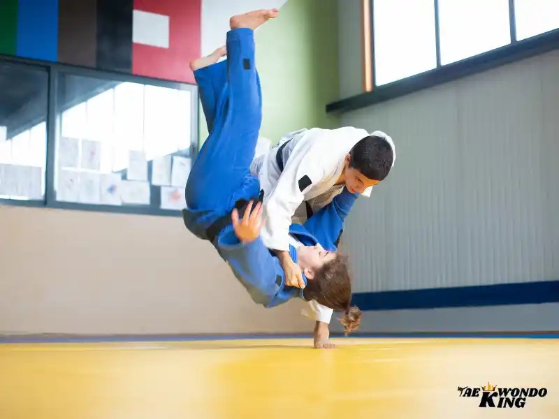 A Beginner’s Guide to Judo Taekwondo King