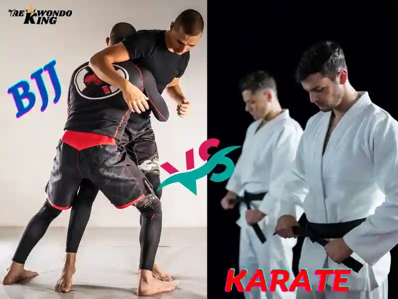 Does BJJ Beat Karate? Taekwondo King