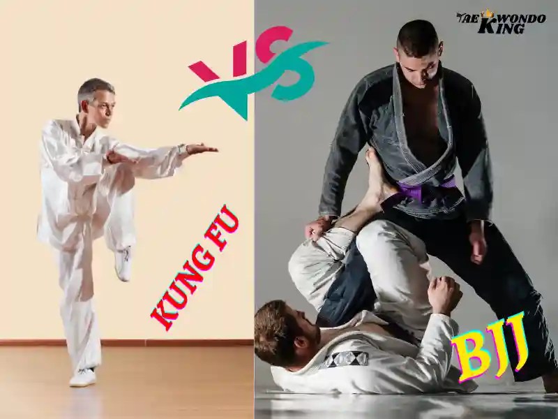 Which Martial Arts is Better Than Kung Fu? Taekwondo King