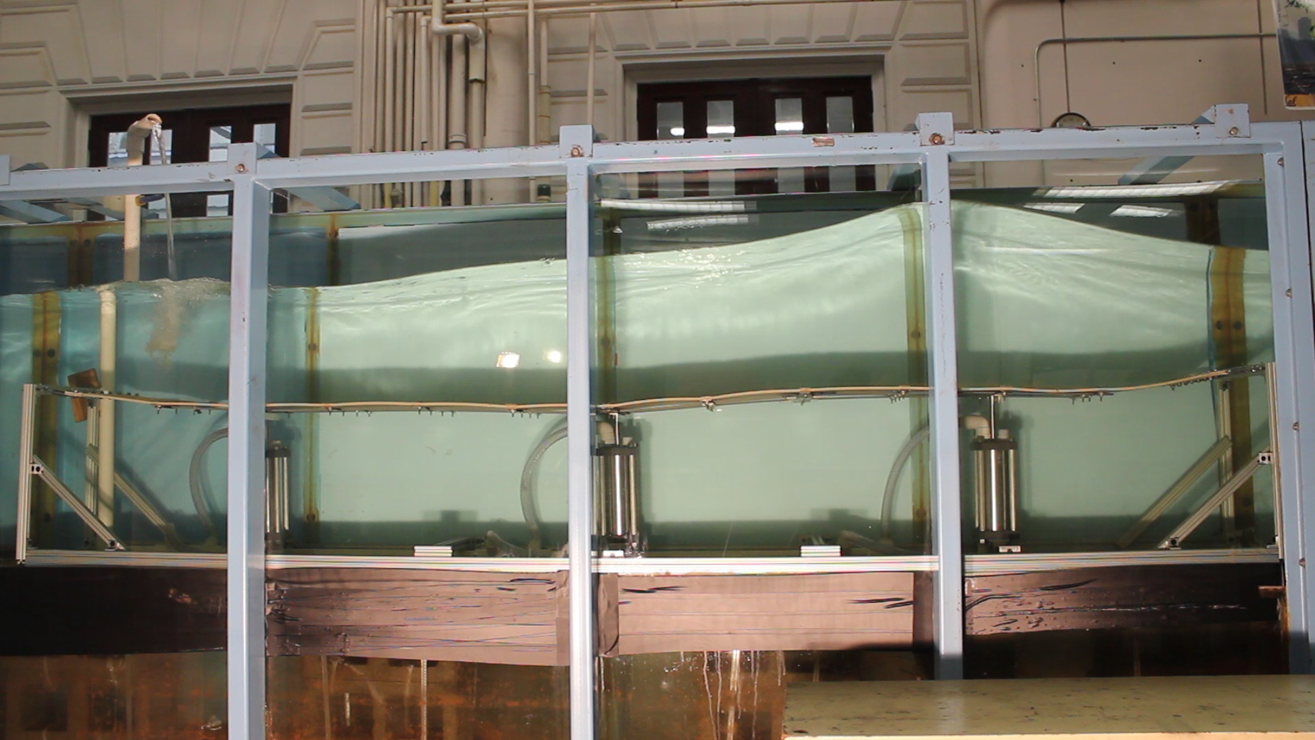 Wave Carpet An Efficient and Multidirectional Ocean Wave Energy