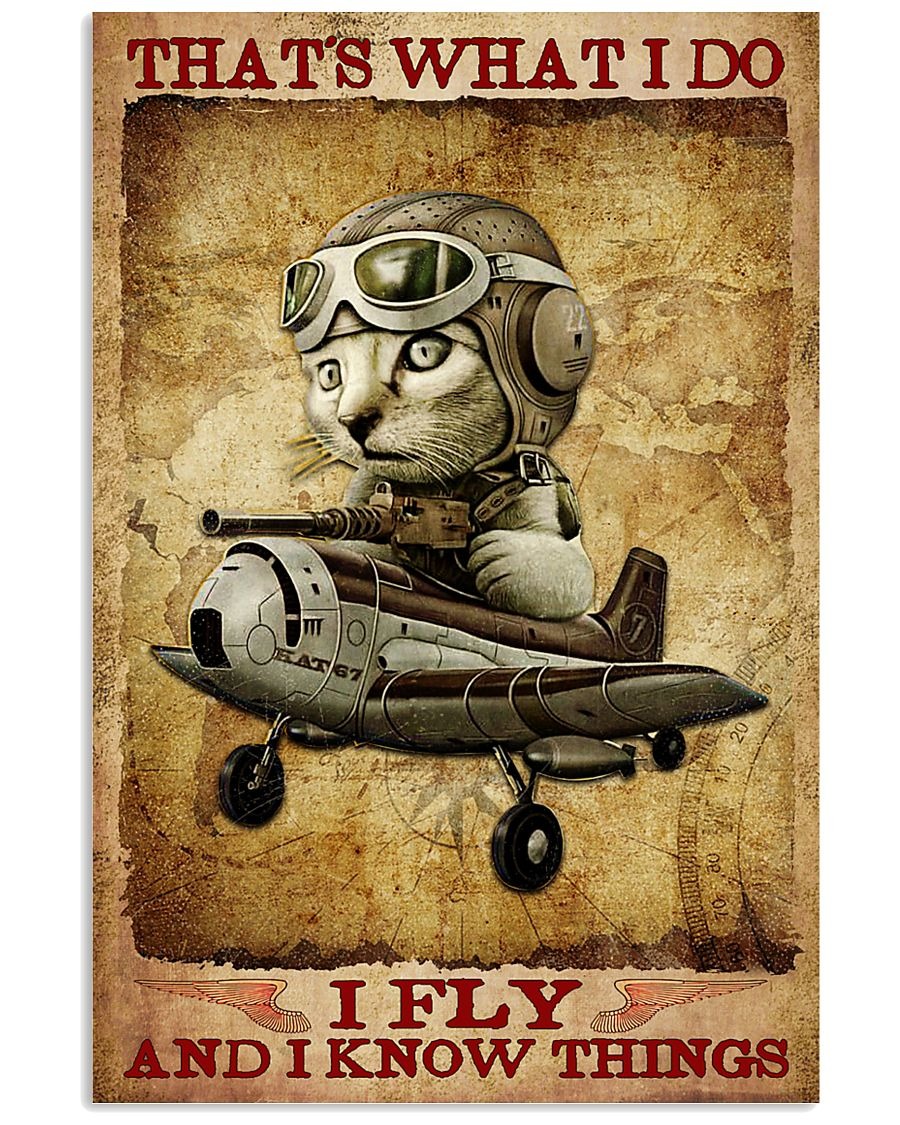Cat Pilot That's What I Do I Fly And I Know Things Poster Tagotee