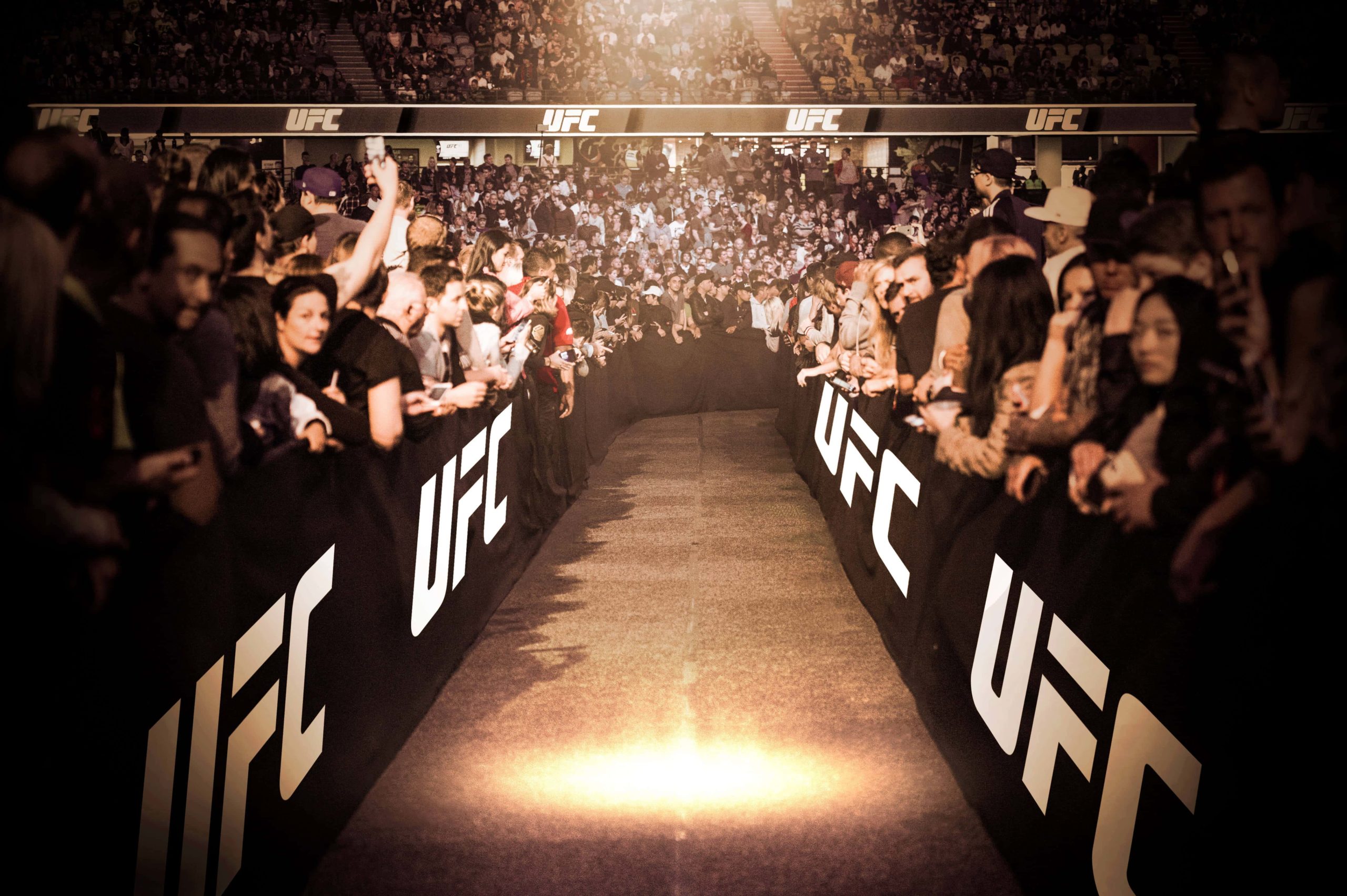 UFC 238 Chicago TagPrints