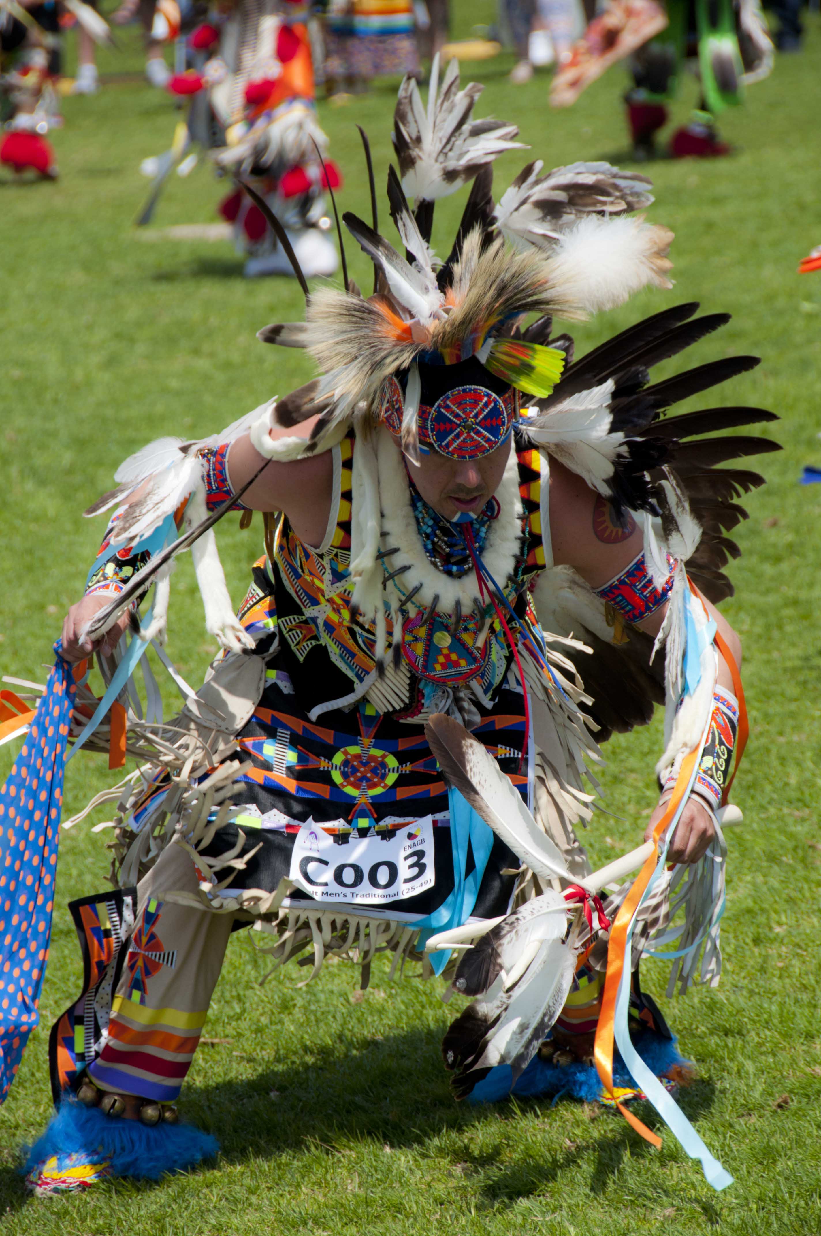 North American Indigenous Cultural Festival! taherehbarati